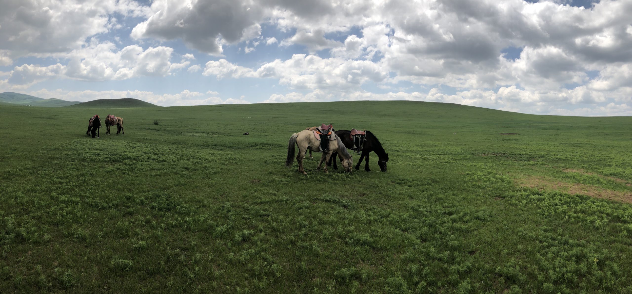 Mongolia Travel Guide, A Once in A Lifetime Destination