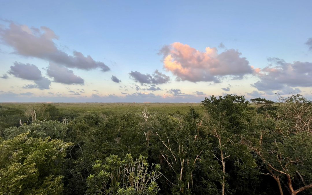 Pissed off and feeling lost [finding compassion in pandemic times]