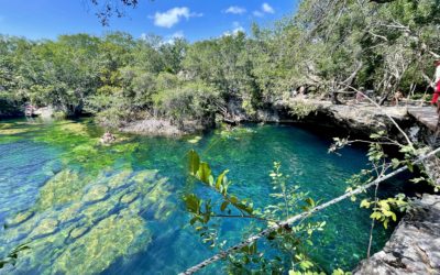My First Mexican Cenote Experience In The Yucatan
