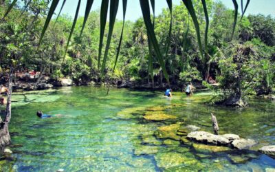 Experience The Magic of Cenote Azul [Guide]
