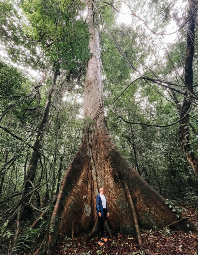Jungle trekking in Selva Lacandoana
