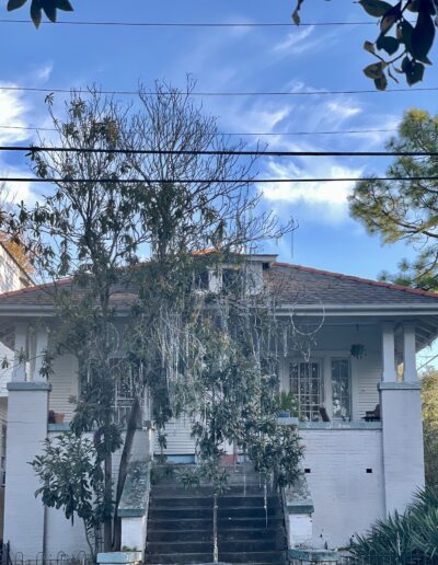 Magazine St. New Orleans 2