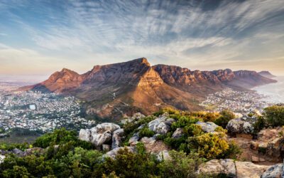 Best Things to do in Cape Town