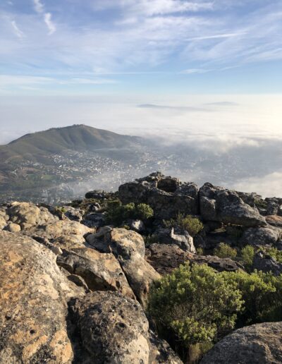 Best Things to do in Cape Town- Hiking Table Mountain
