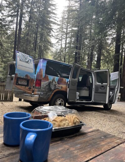Henry Cowell Redwoods California Highway 101