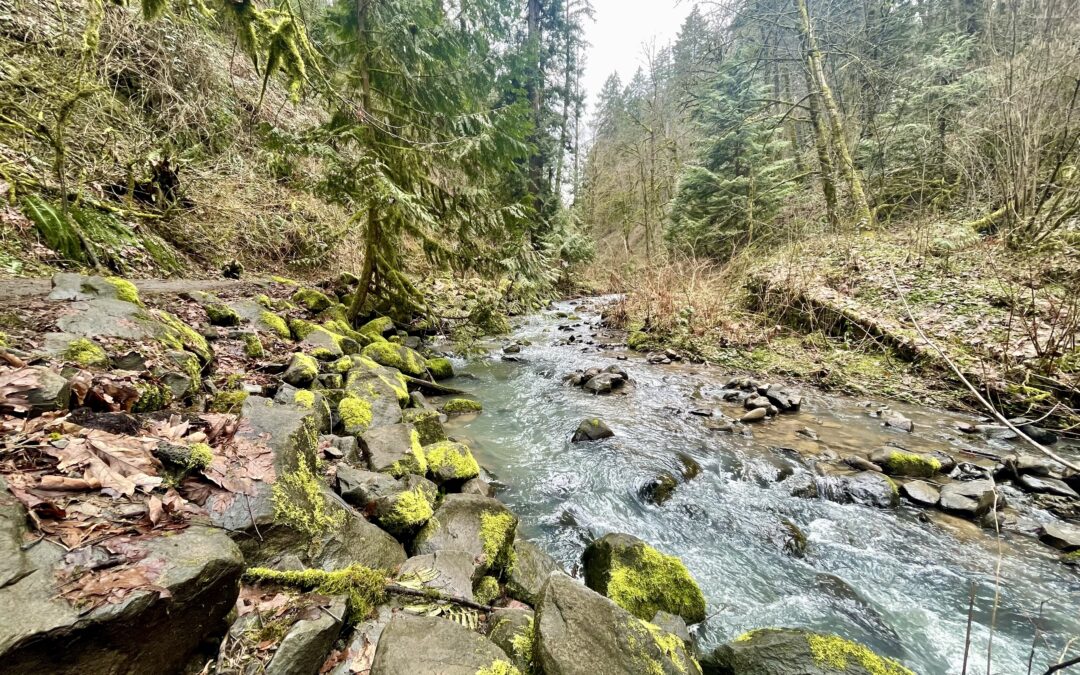 Pittock Mansion Hike Has Everything You Want in a Hike