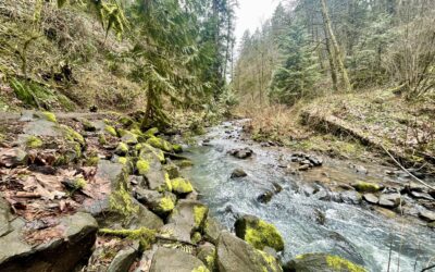 Pittock Mansion Hike Has Everything You Want in a Hike