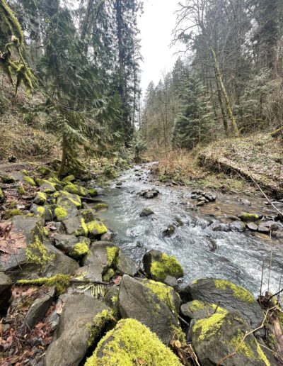 Pittock Mansion Hike