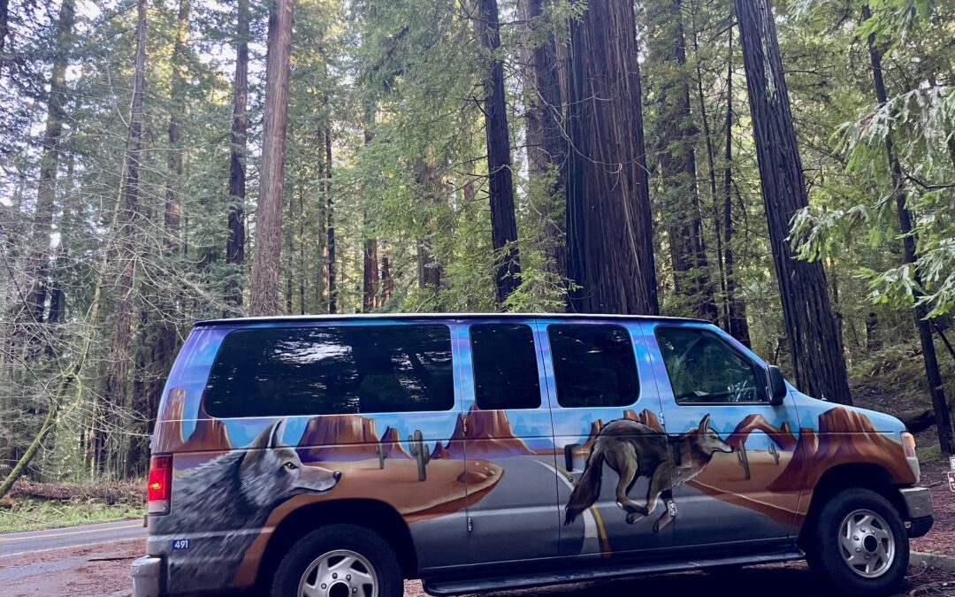 An Honest Escape Campervans Review from a Newbie