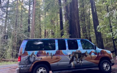 An Honest Escape Campervans Review from a Newbie