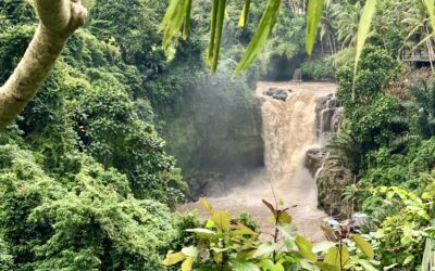 The Best Bali Itinerary for Any Budget