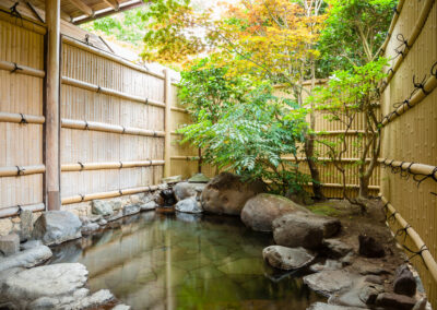 Things to do in Osaka- Onsen