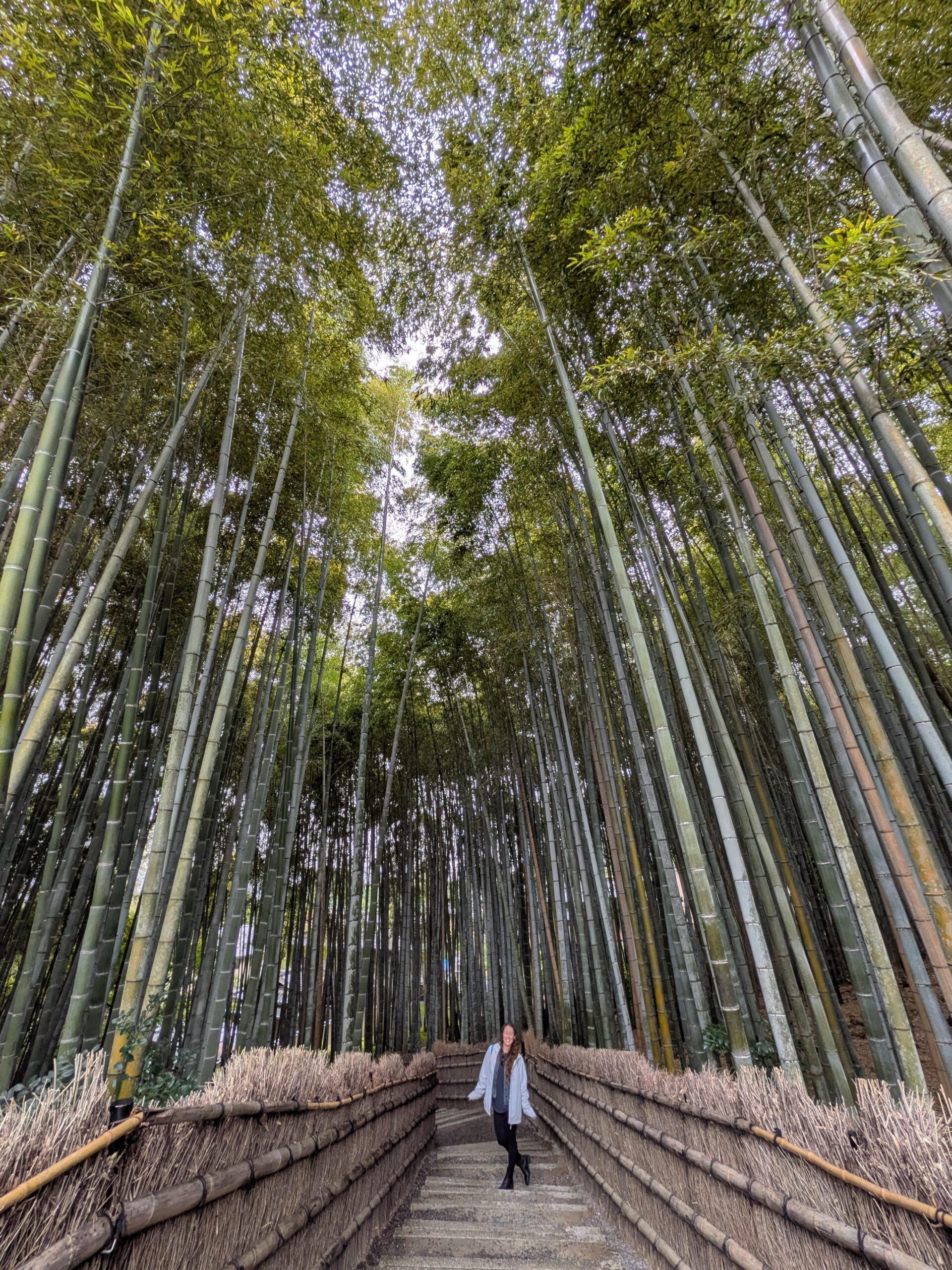 PXL_20251022_040305673 Kyoto Japan