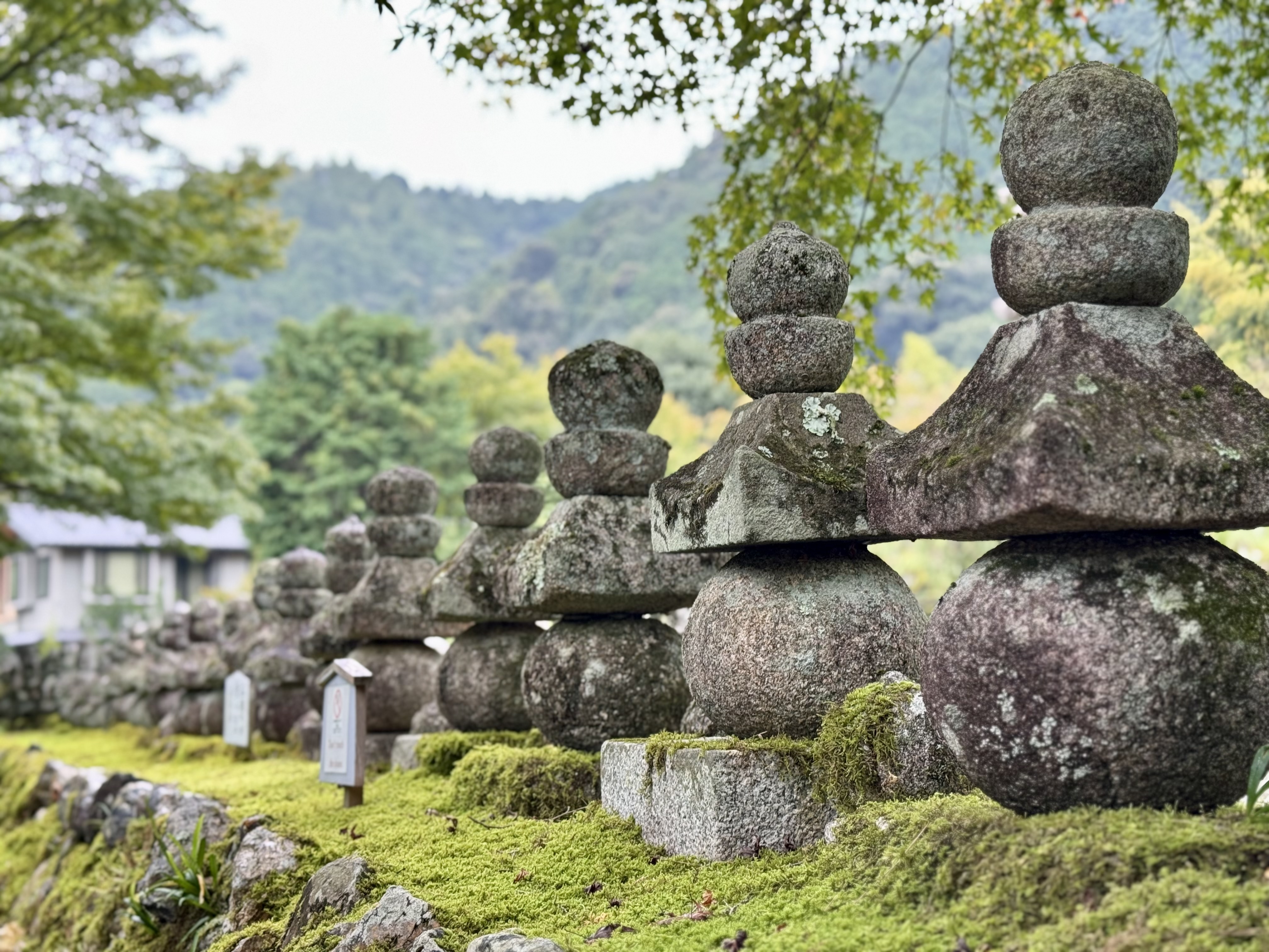 kyoto rocks Kyoto Japan temple