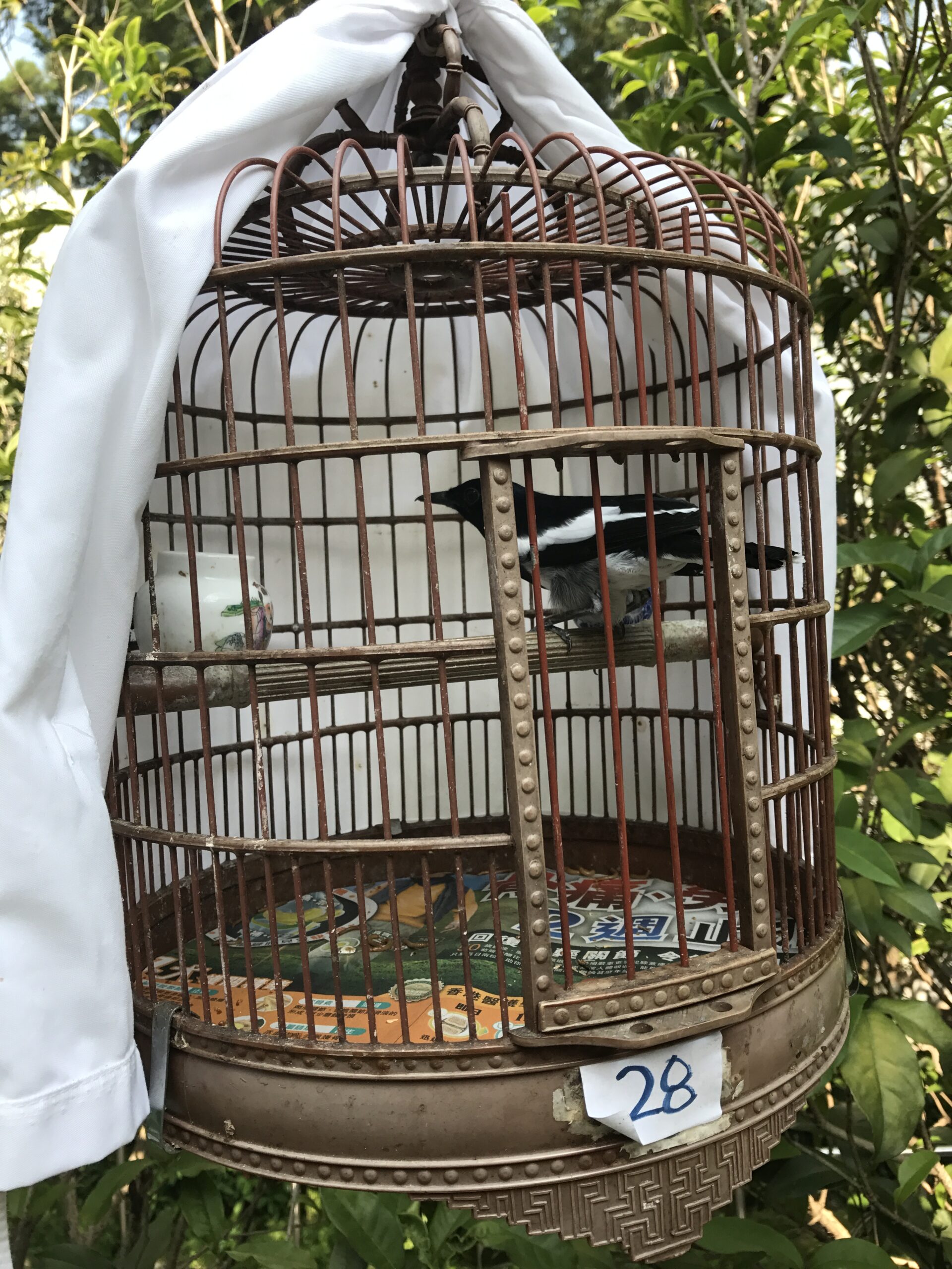 Hong Kong Bird Market