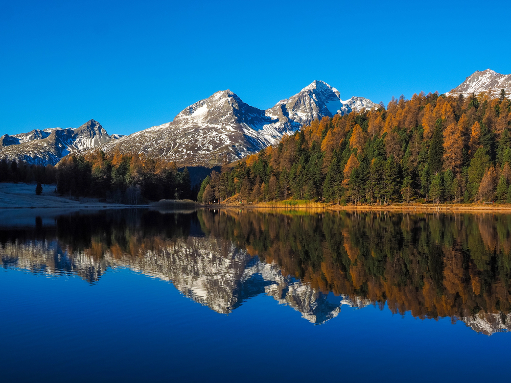 Bernina Express- Day trip from Lake Como