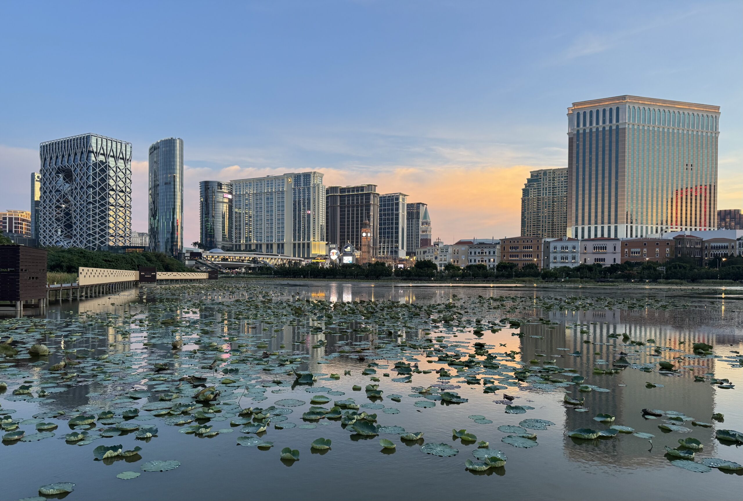 Macau Cotai Strip How to get to Macau Cotai Strip from Hong Kong